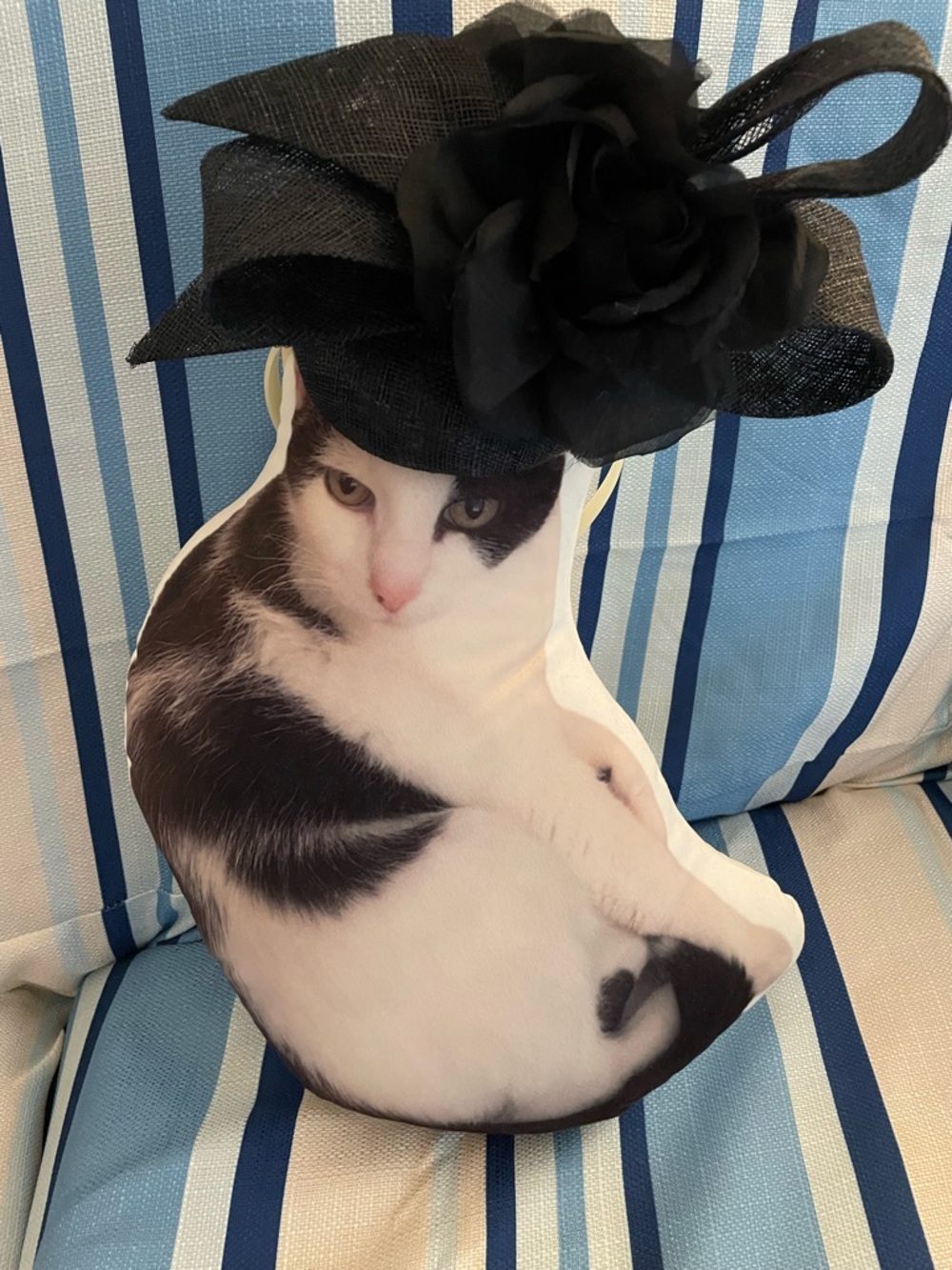Kentucky Derby Fascinator Giovannio by Emma B in Navy